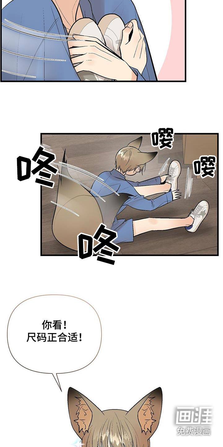 半妖餐厅第29话图