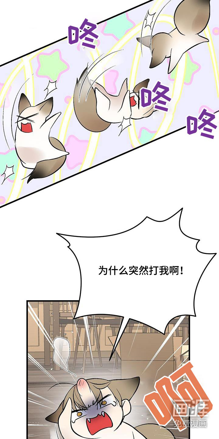 半妖餐厅第29话图