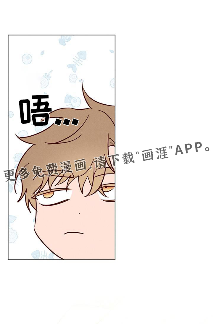 波涛的海岸第25话图