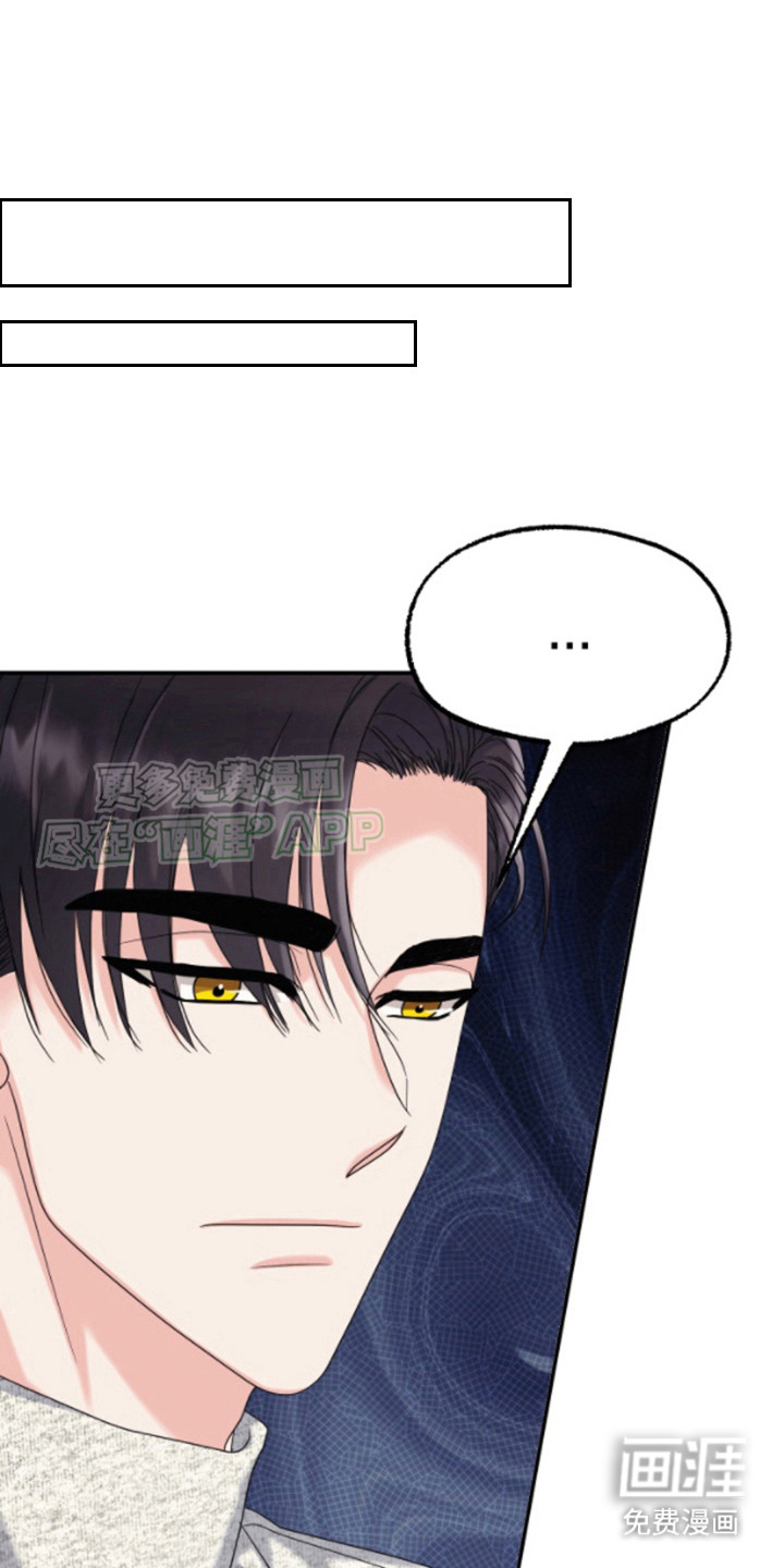 白兔为伴第11话图