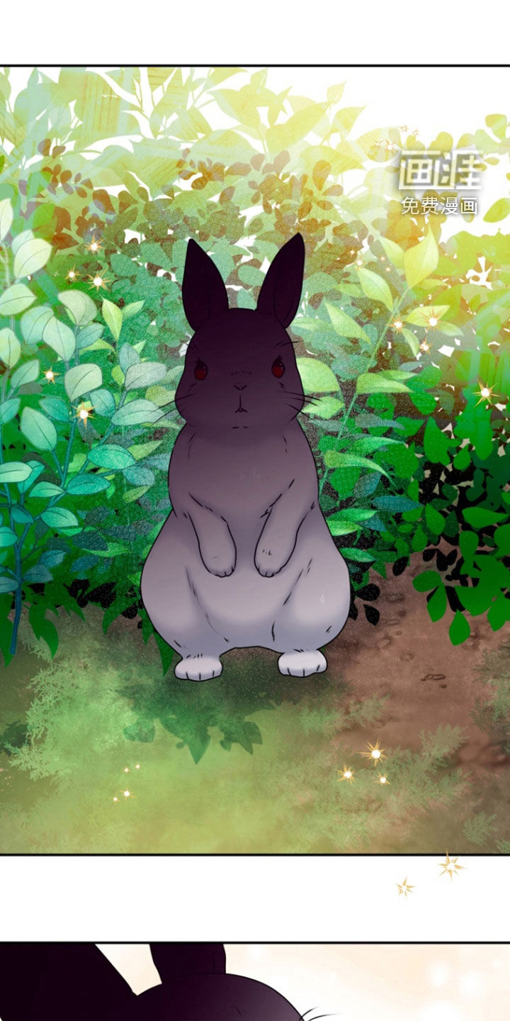 白兔为伴第32话图