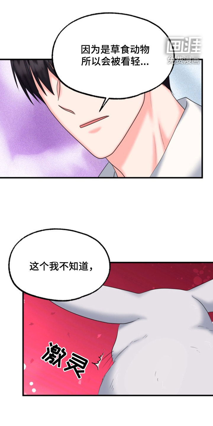 白兔为伴第37话图