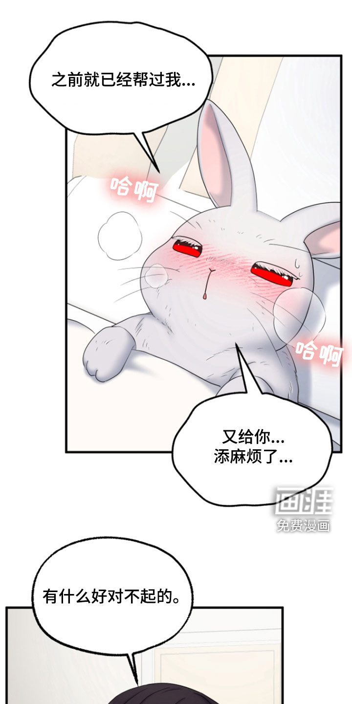 白兔为伴第38话图