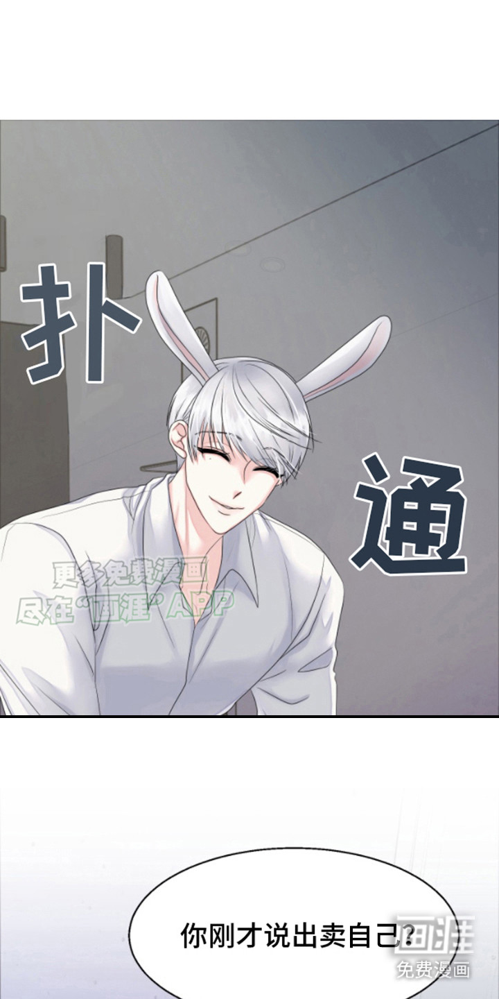 白兔为伴第5话图