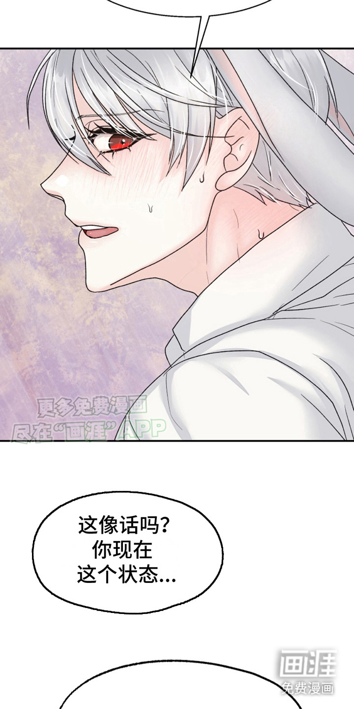 白兔为伴第6话图