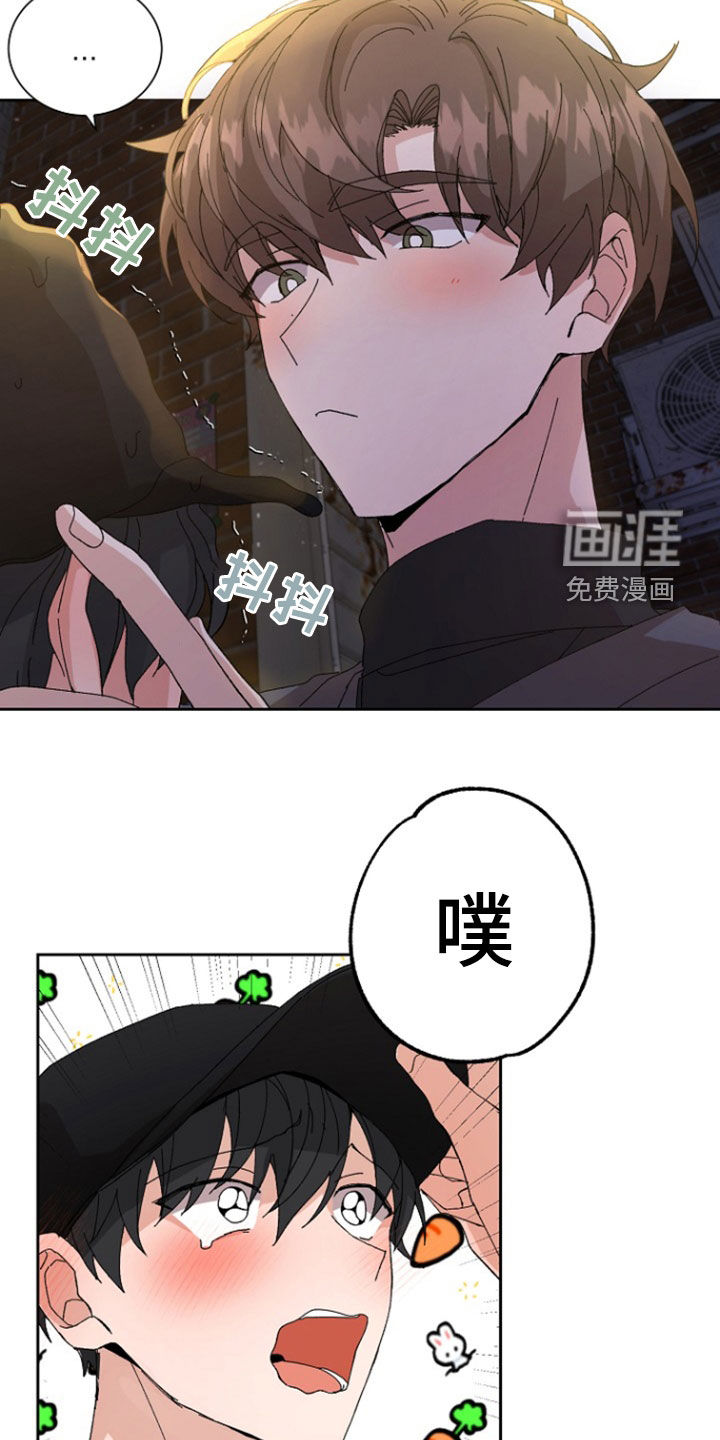 别样新婚第28话图