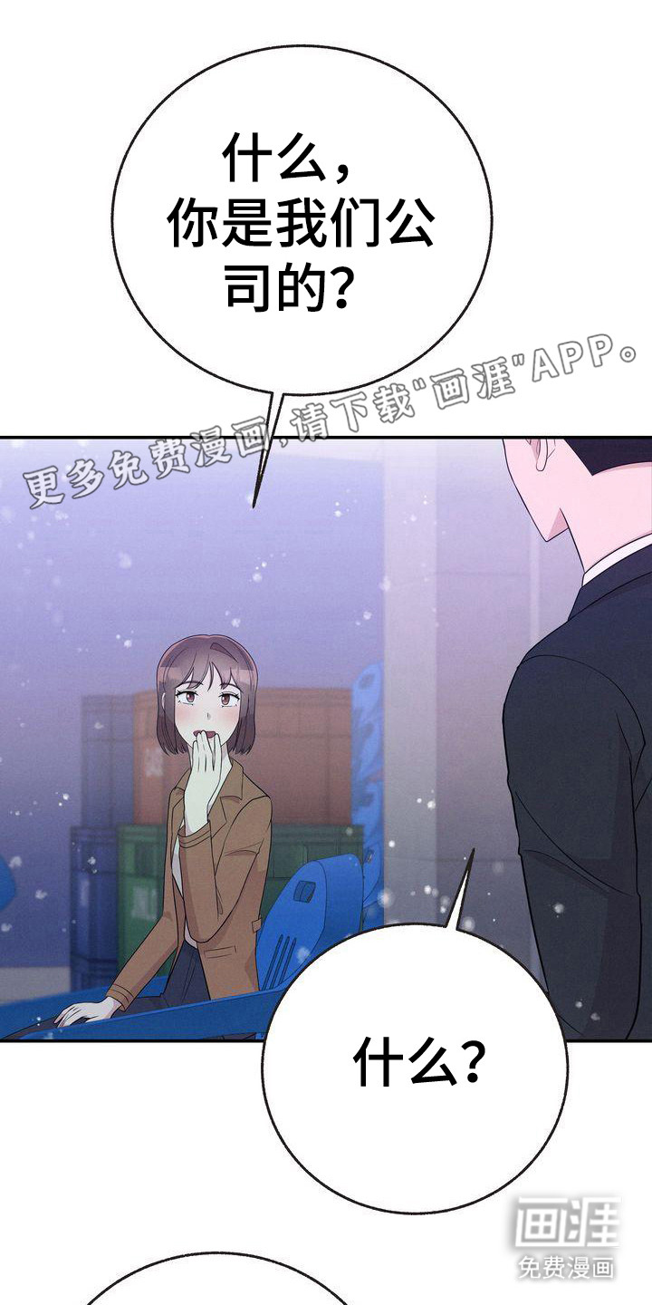 办公室的爱第22话图