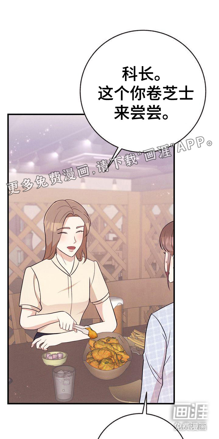 办公室的爱第28话图