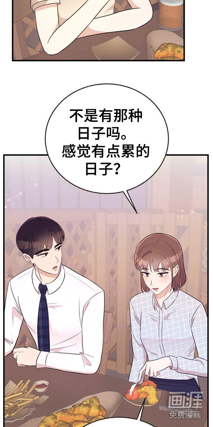 办公室的爱第28话图