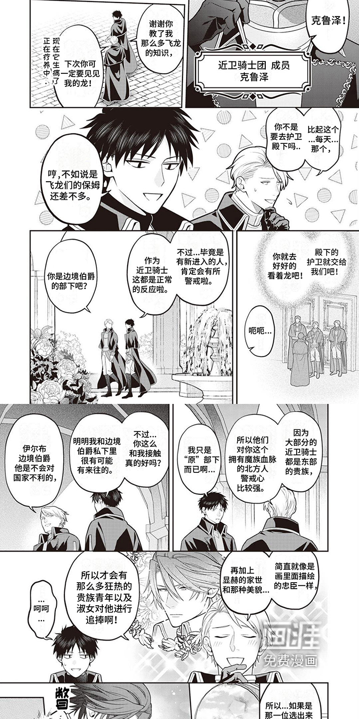 半魔龙骑士第11话图