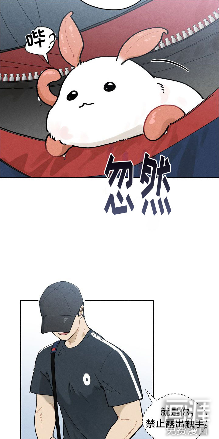 霸占我的外星人 第9话 第6页