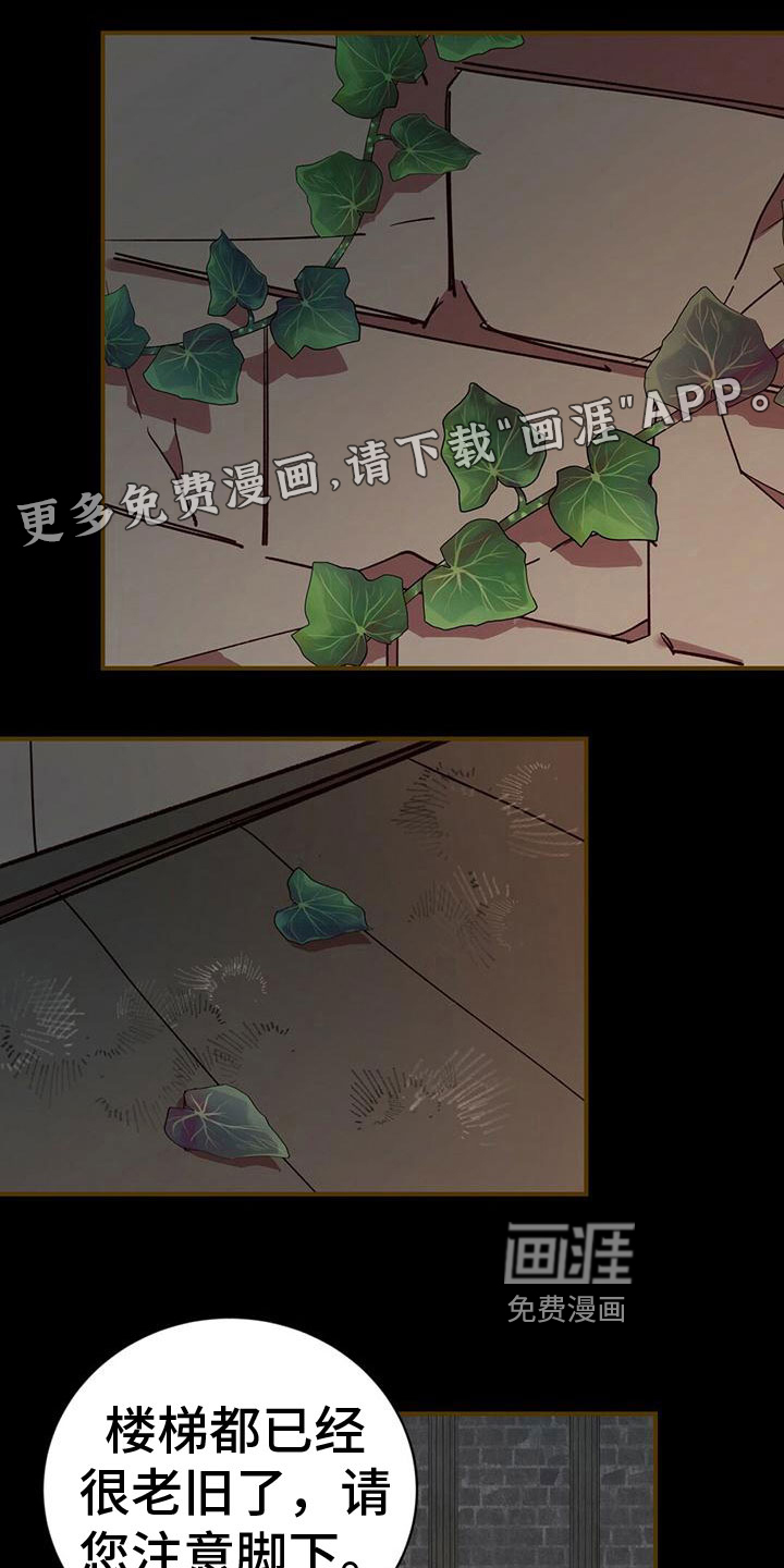 背叛的秘密第23话图
