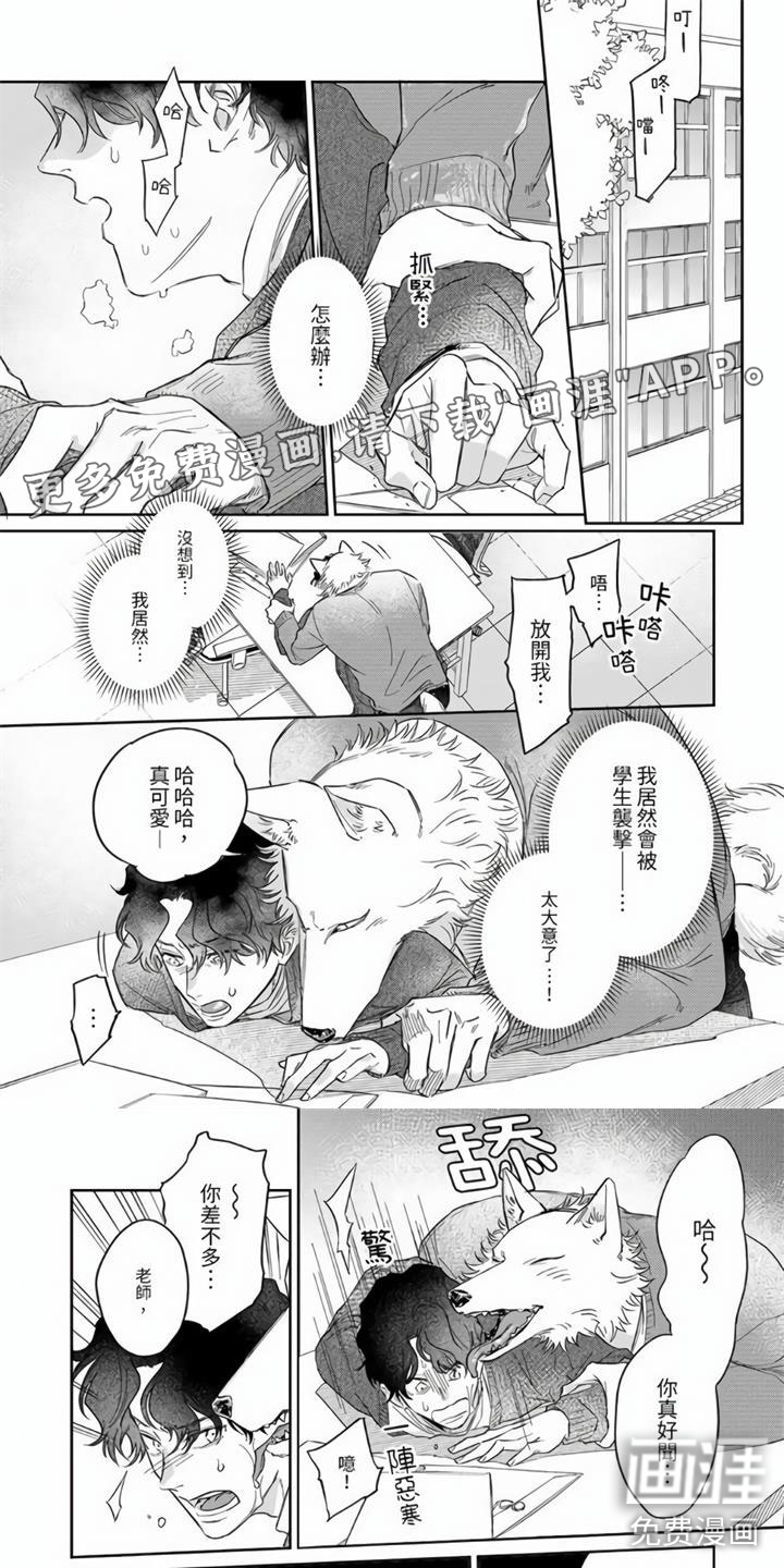 霸道之爱第11话图