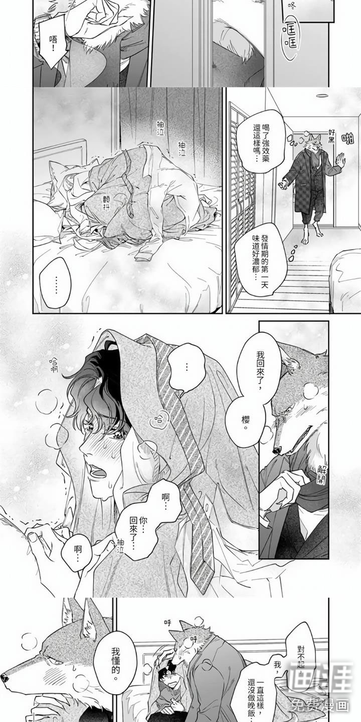 霸道之爱第13话图