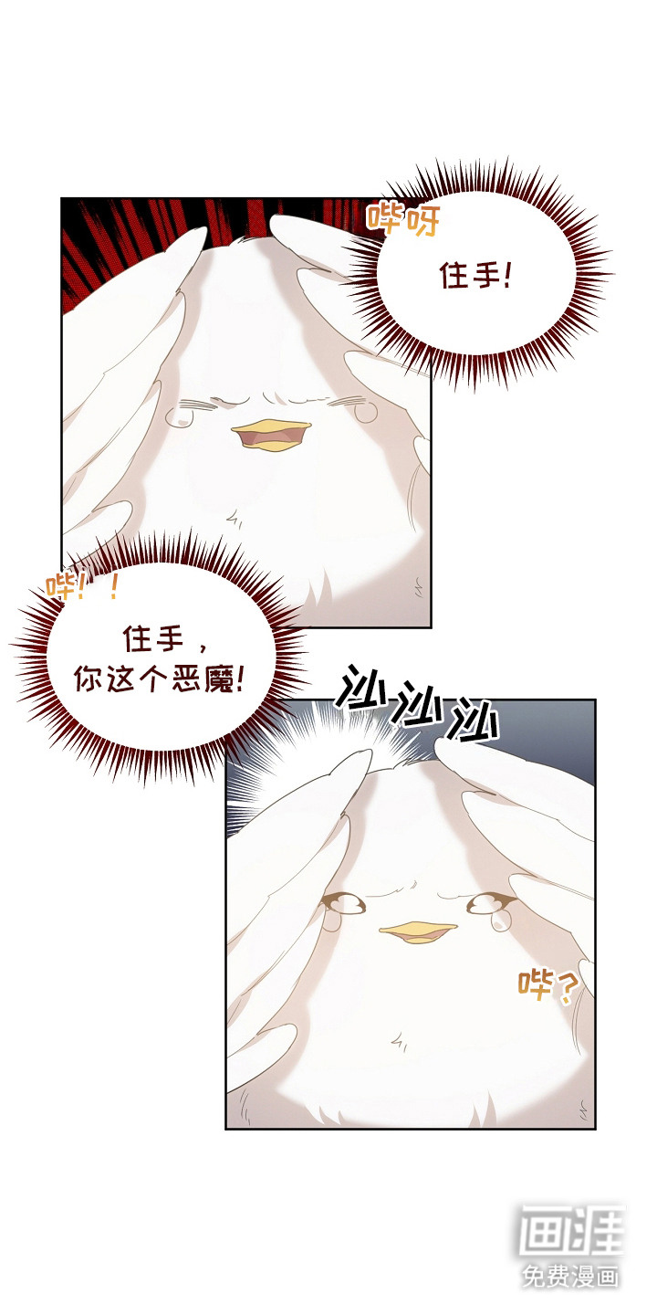 白鸟奇遇记第12话图