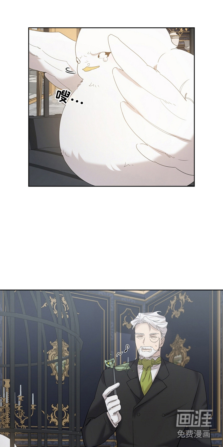 白鸟奇遇记第12话图