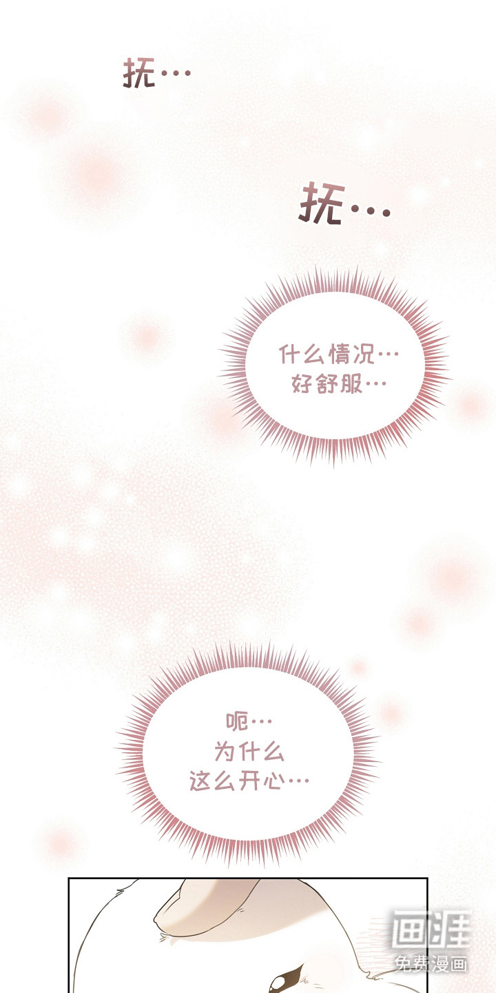 白鸟奇遇记第13话图