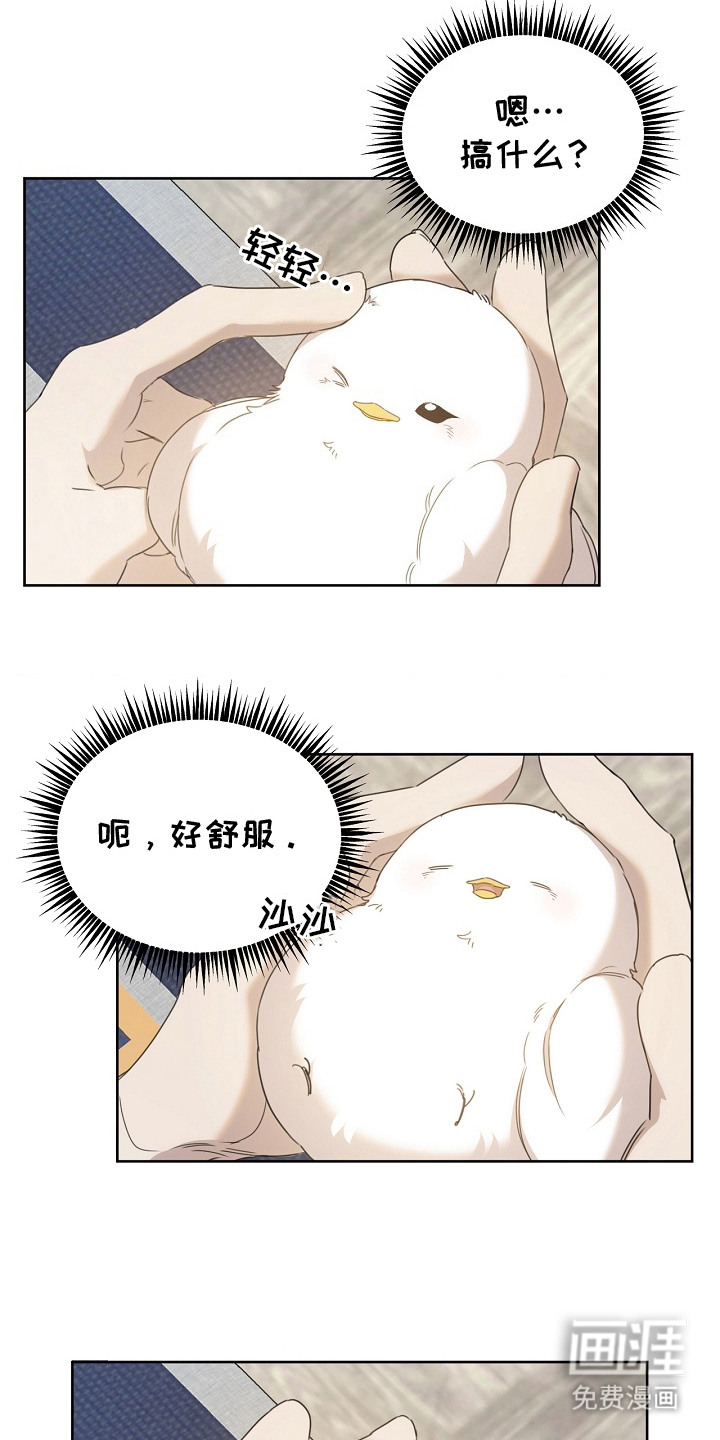 白鸟奇遇记第13话图