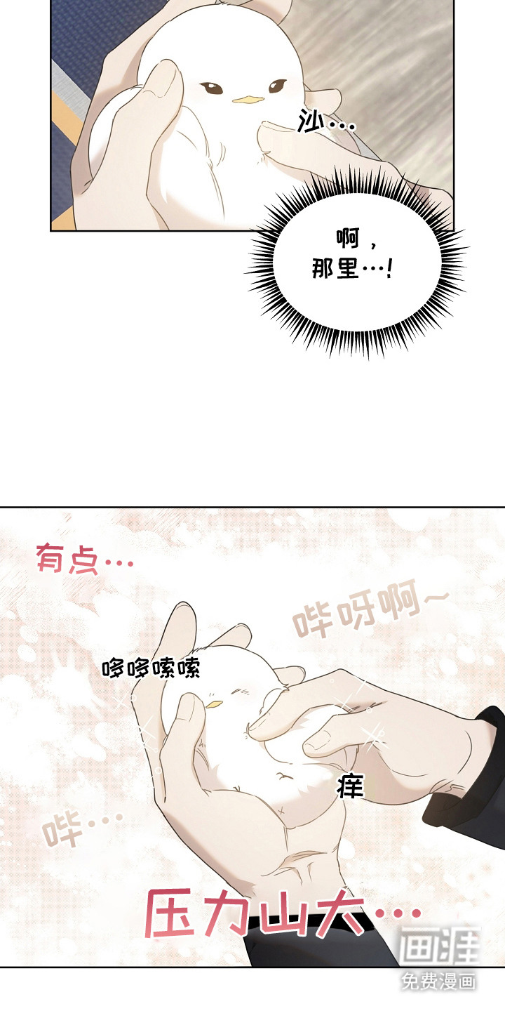 白鸟奇遇记第13话图