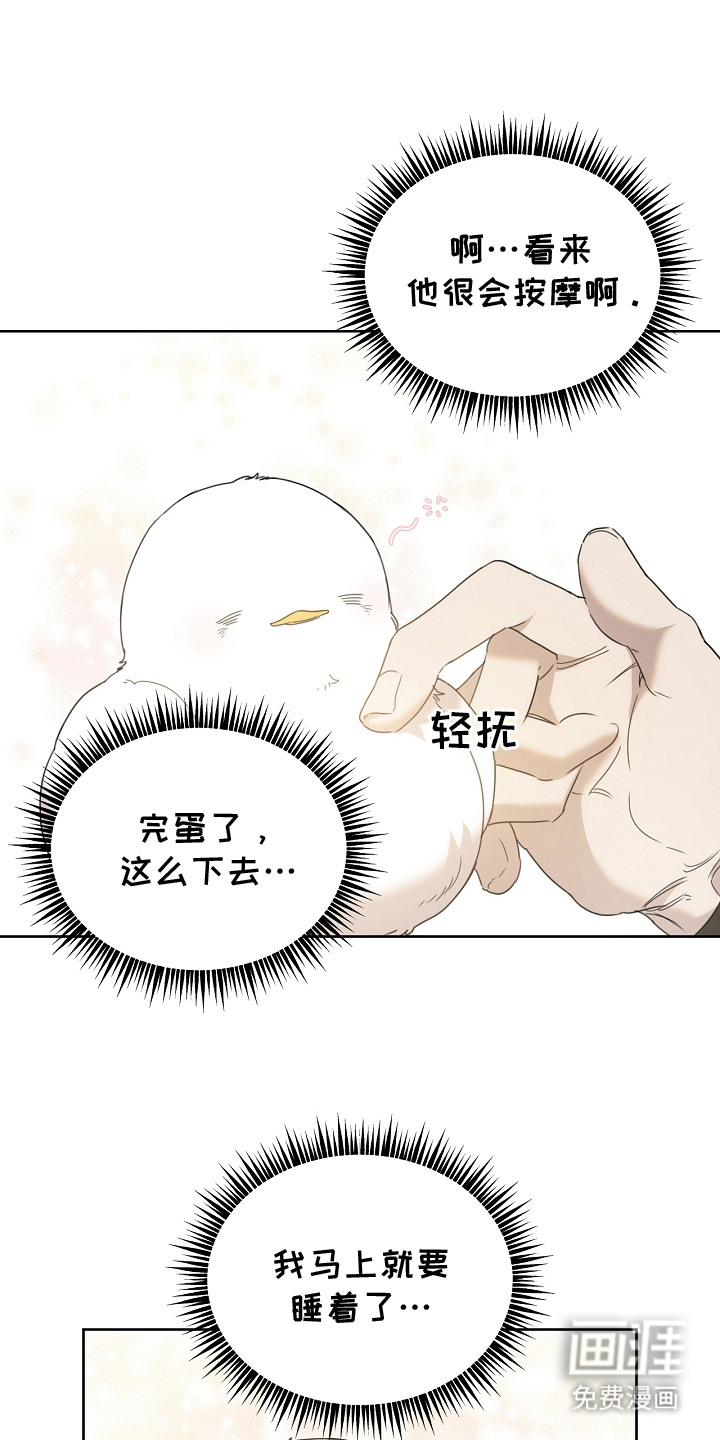 白鸟奇遇记第13话图