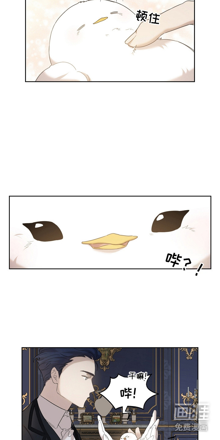 白鸟奇遇记第13话图