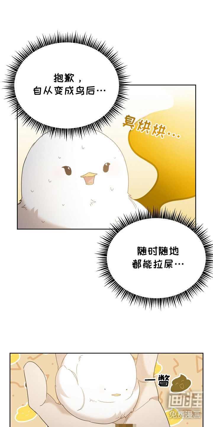 白鸟奇遇记第14话图