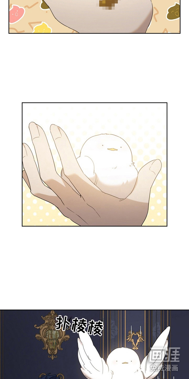 白鸟奇遇记第14话图