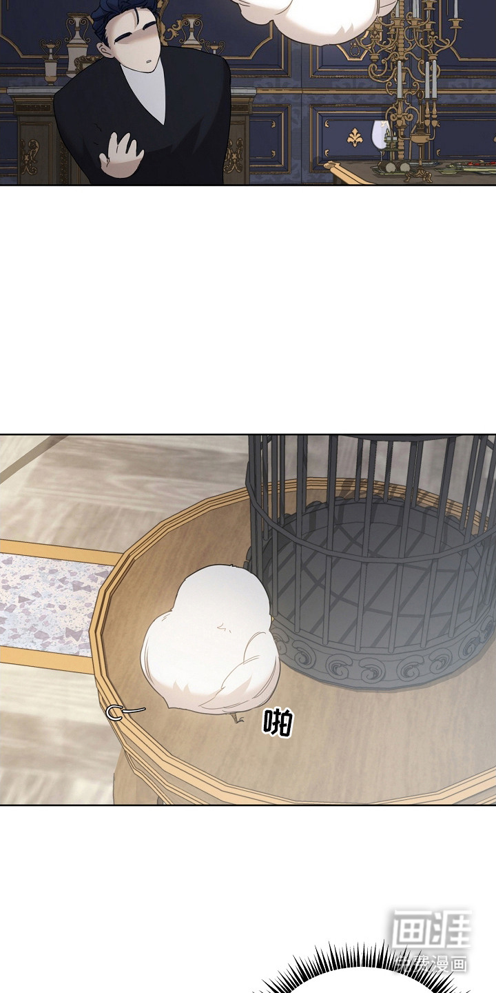 白鸟奇遇记第14话图