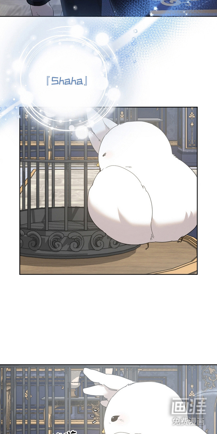 白鸟奇遇记第14话图