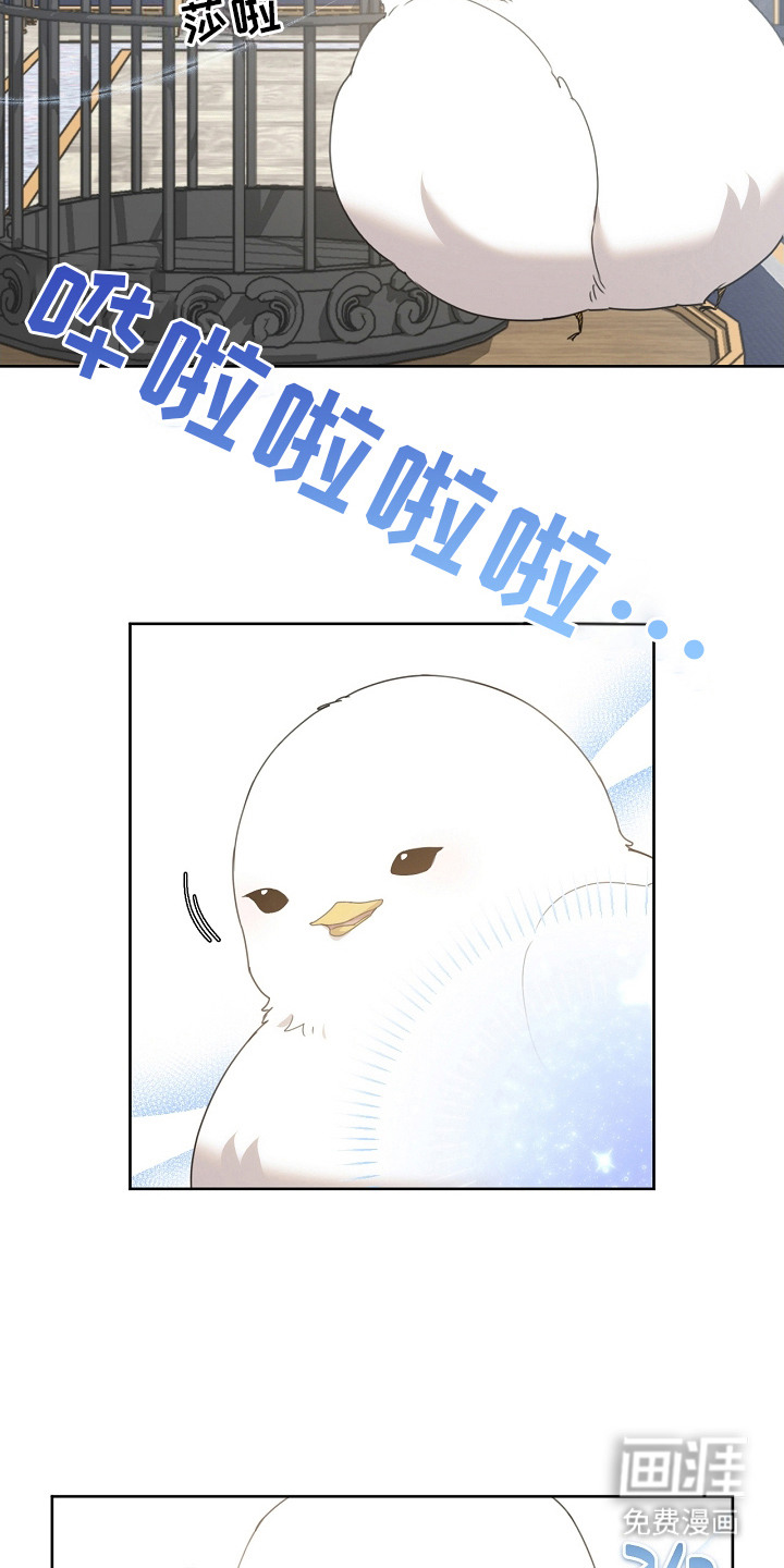 白鸟奇遇记第14话图