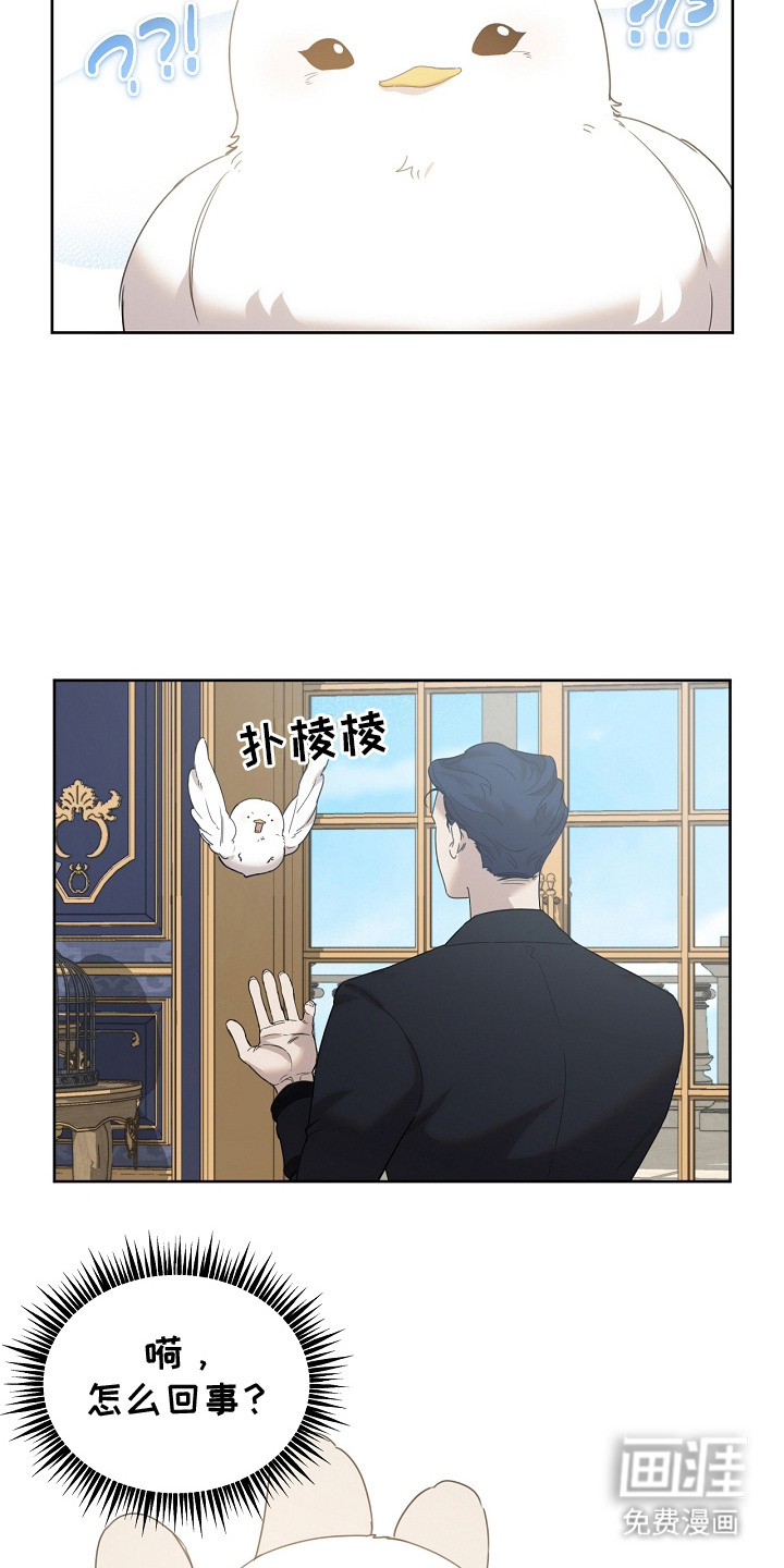 白鸟奇遇记第14话图