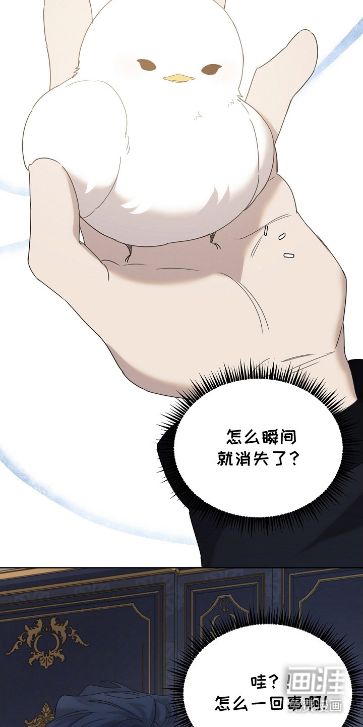 白鸟奇遇记第14话图