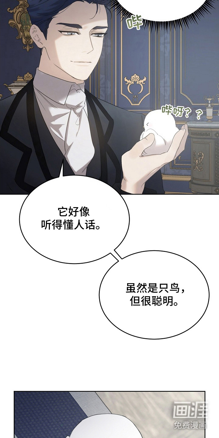 白鸟奇遇记第14话图