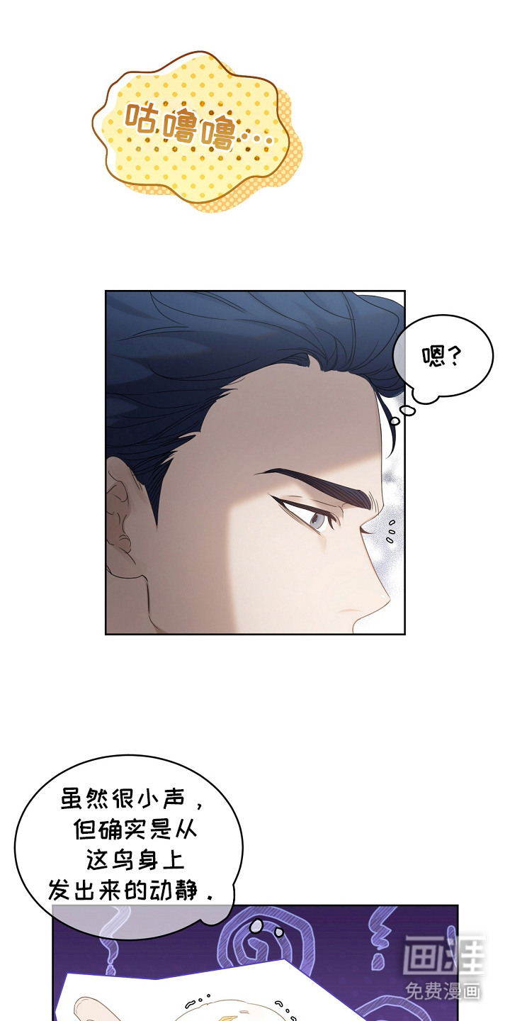 白鸟奇遇记第14话图