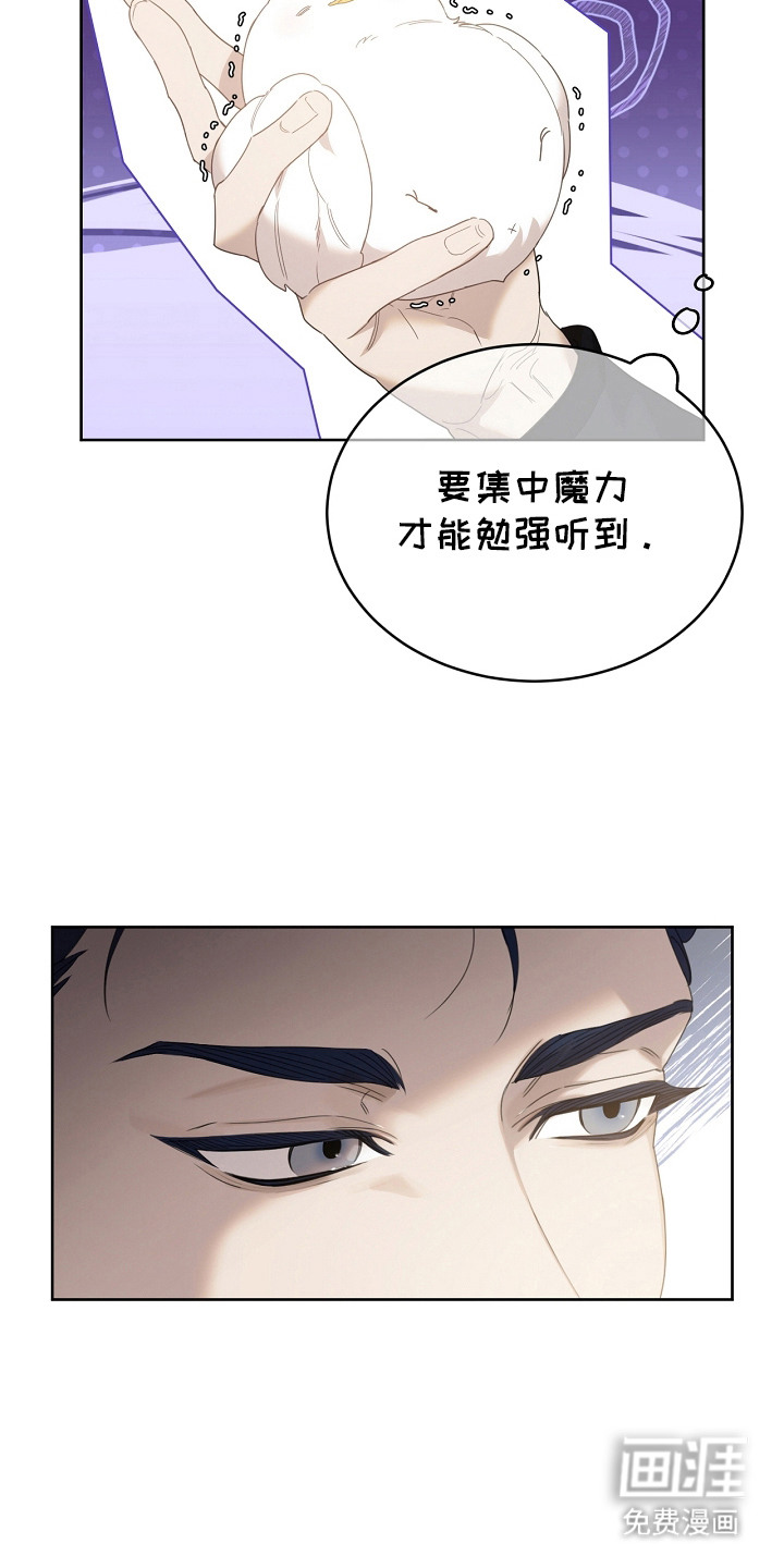 白鸟奇遇记第14话图