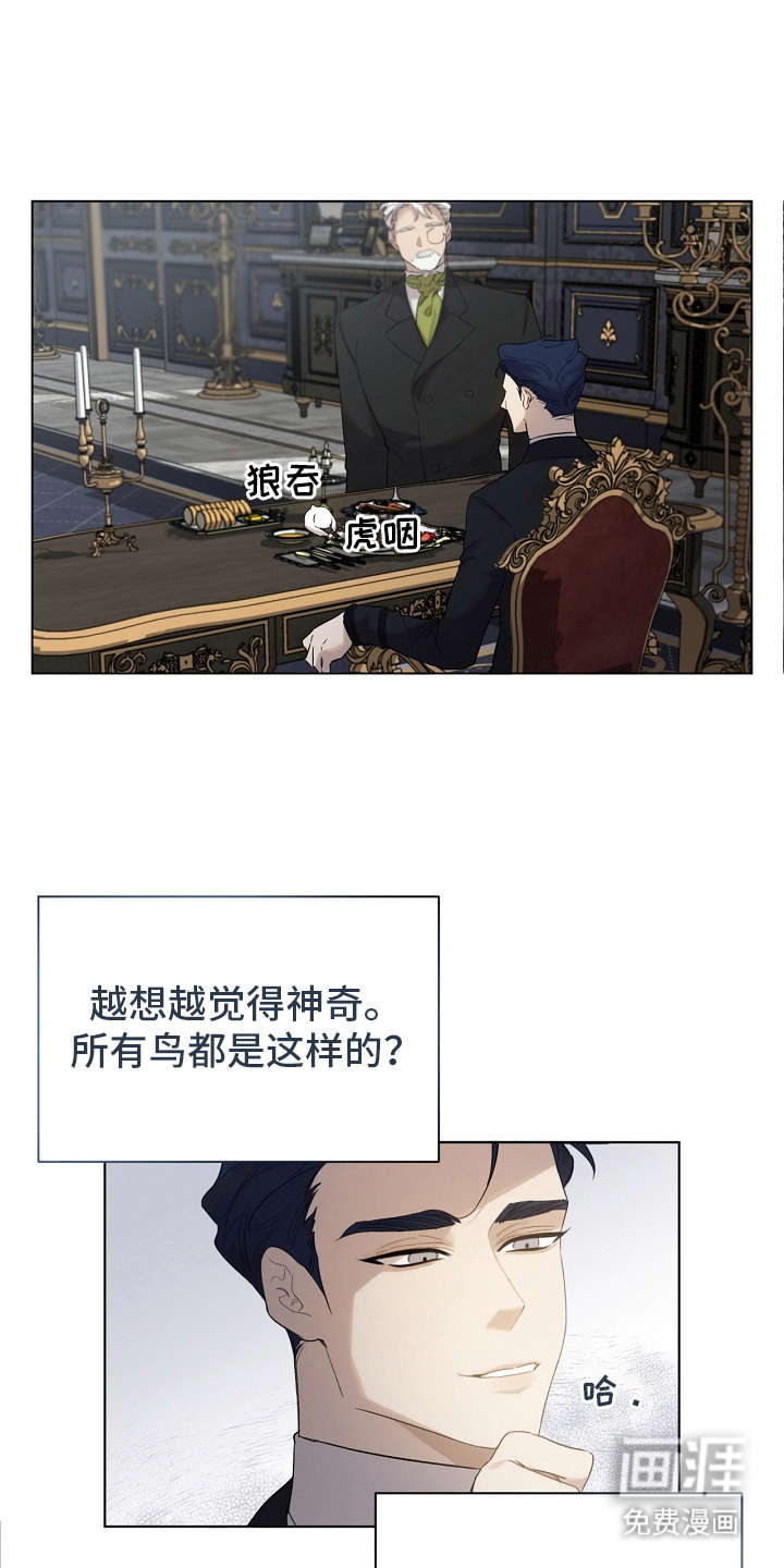 白鸟奇遇记第16话图