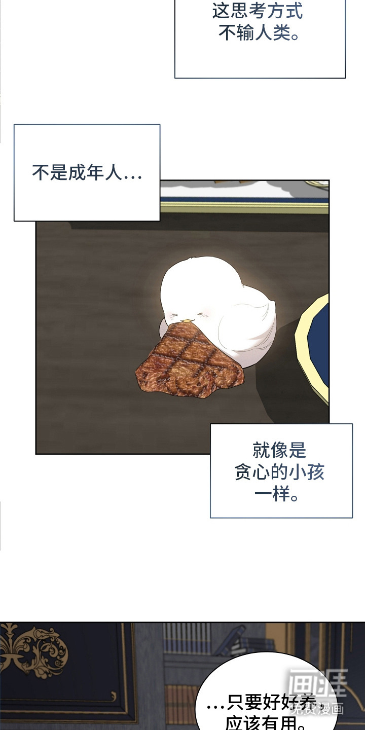 白鸟奇遇记第16话图