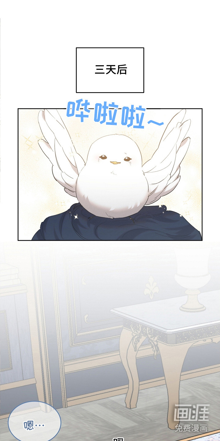 白鸟奇遇记第17话图