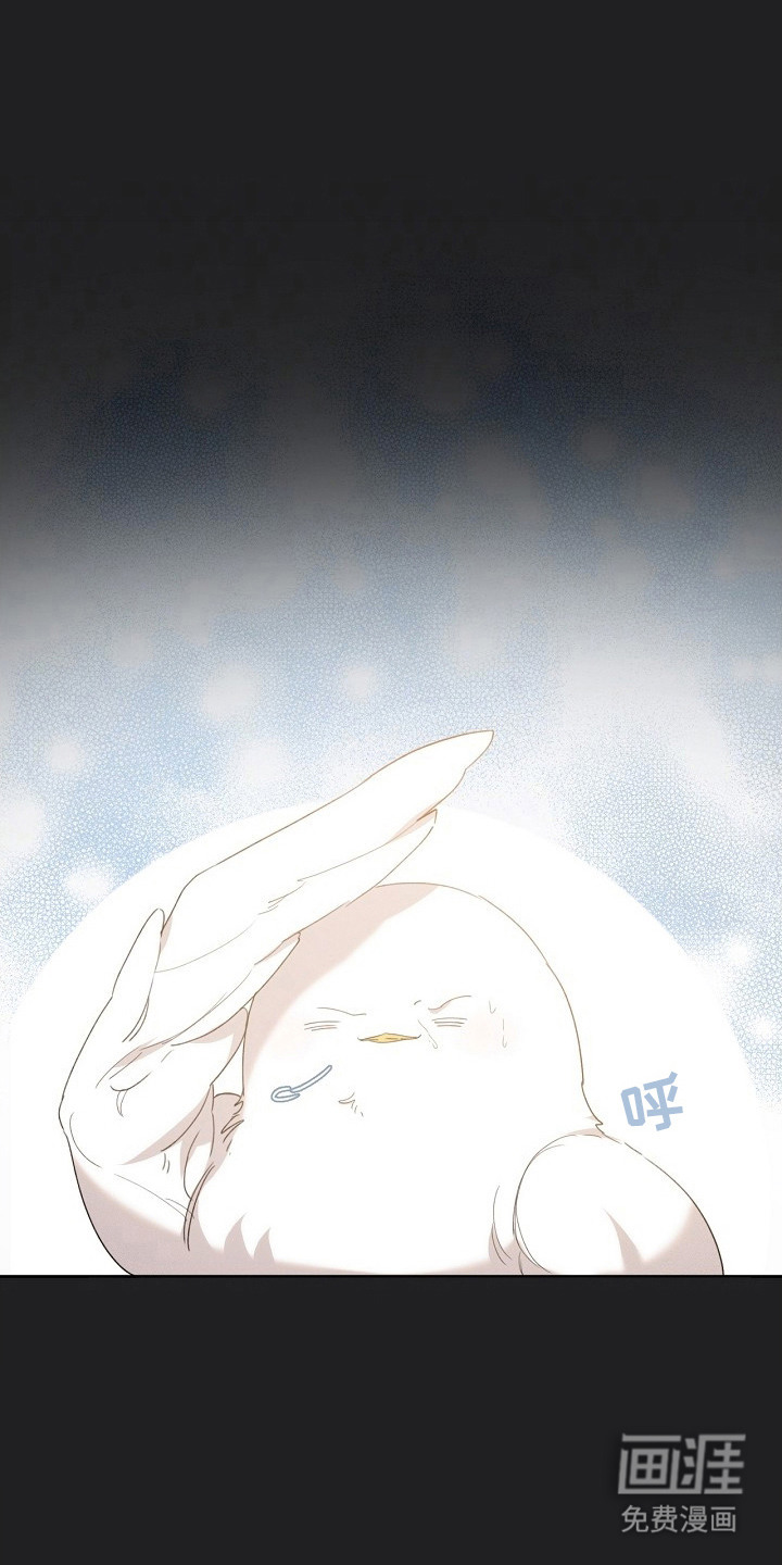 白鸟奇遇记第18话图