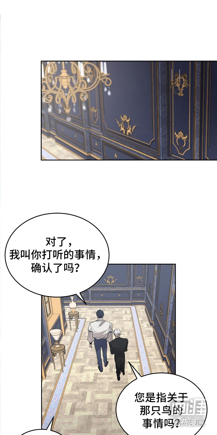 白鸟奇遇记第19话图