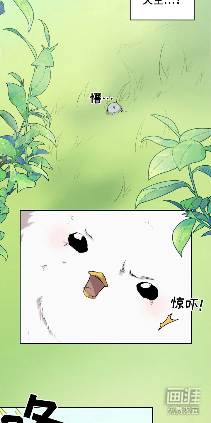 白鸟奇遇记第2话图