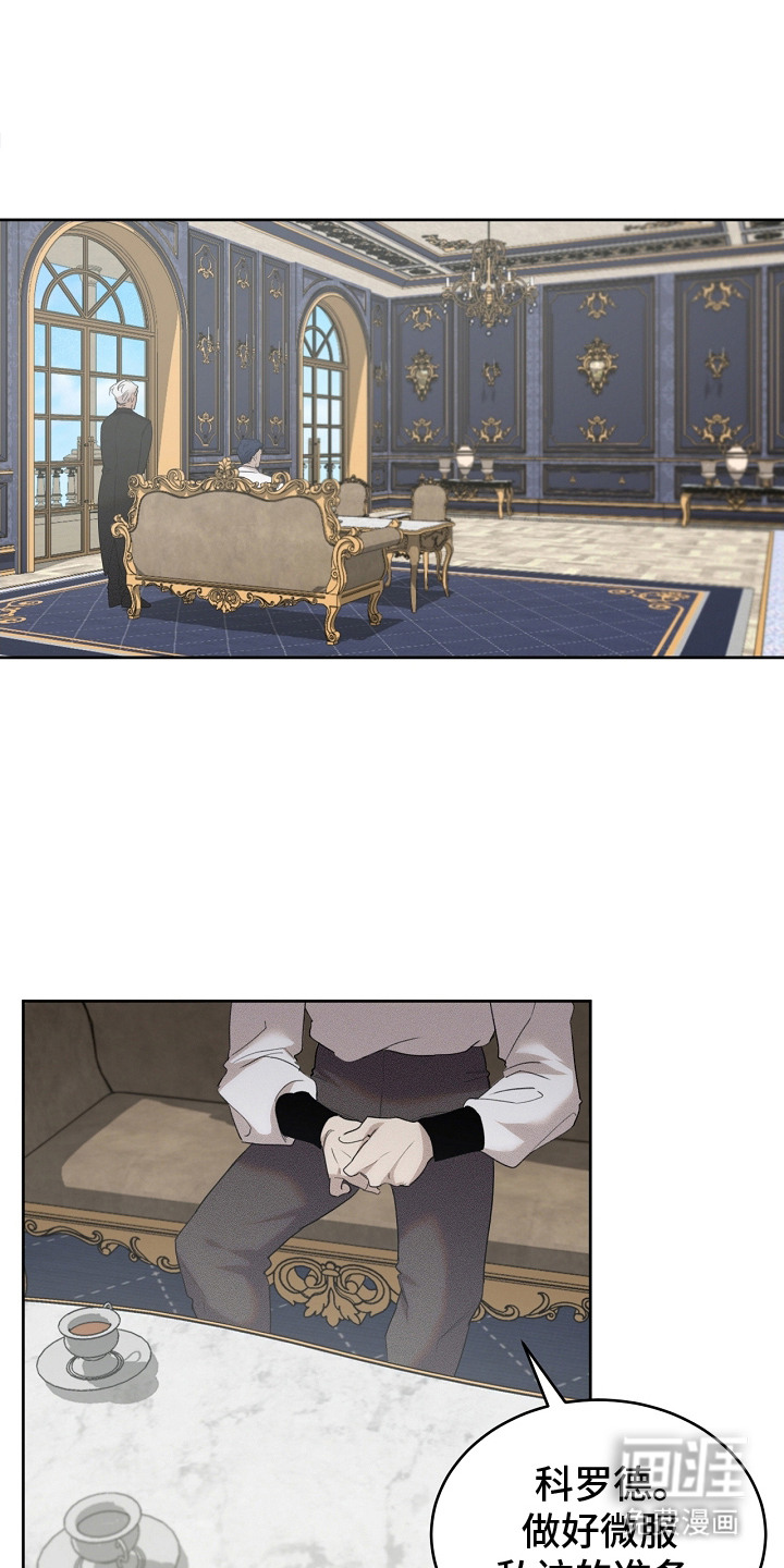 白鸟奇遇记第20话图