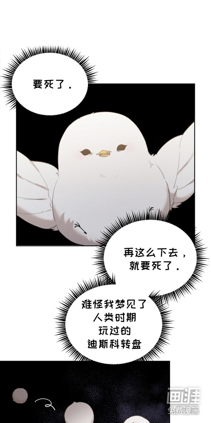 白鸟奇遇记第23话图