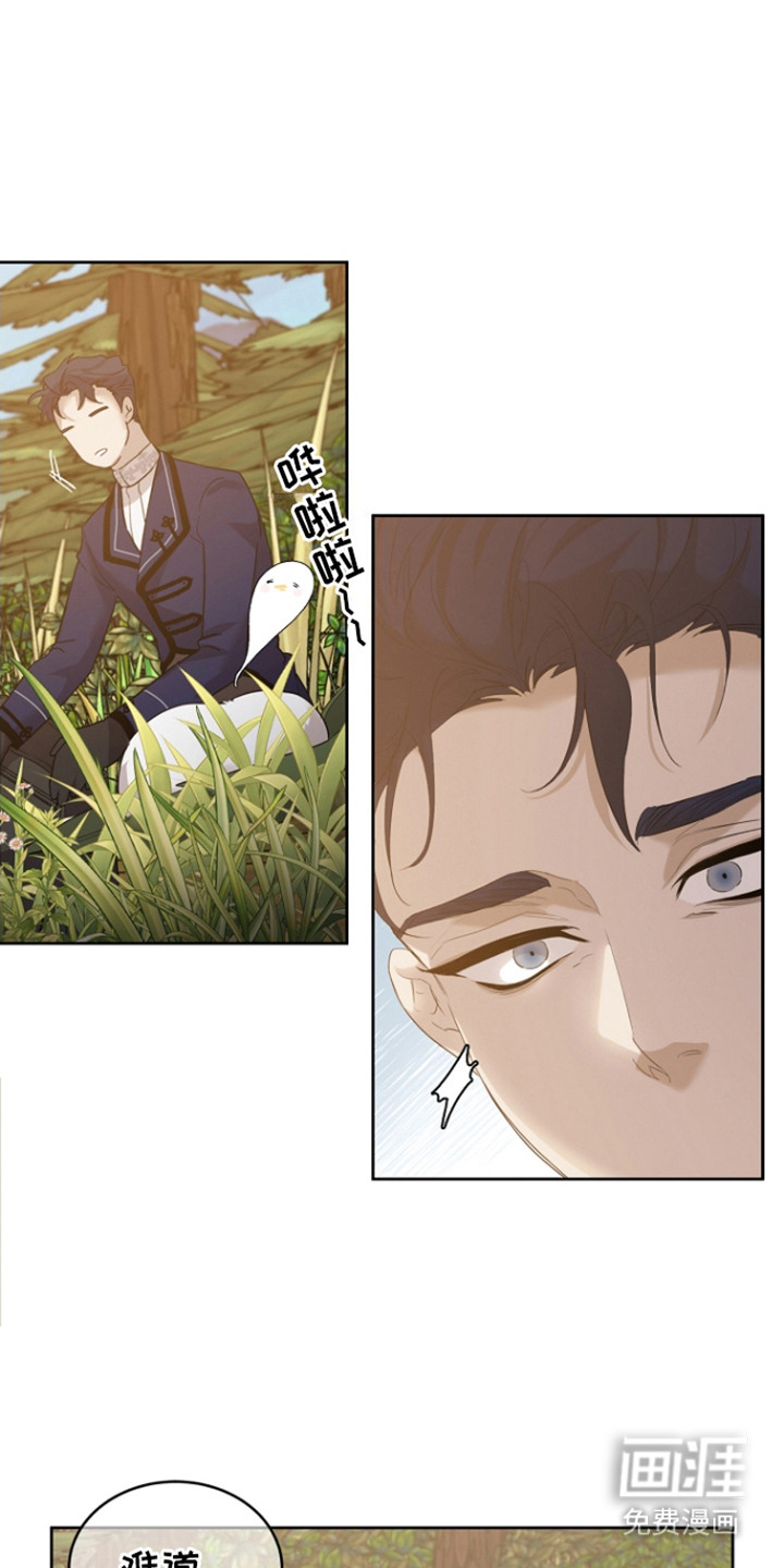 白鸟奇遇记第24话图