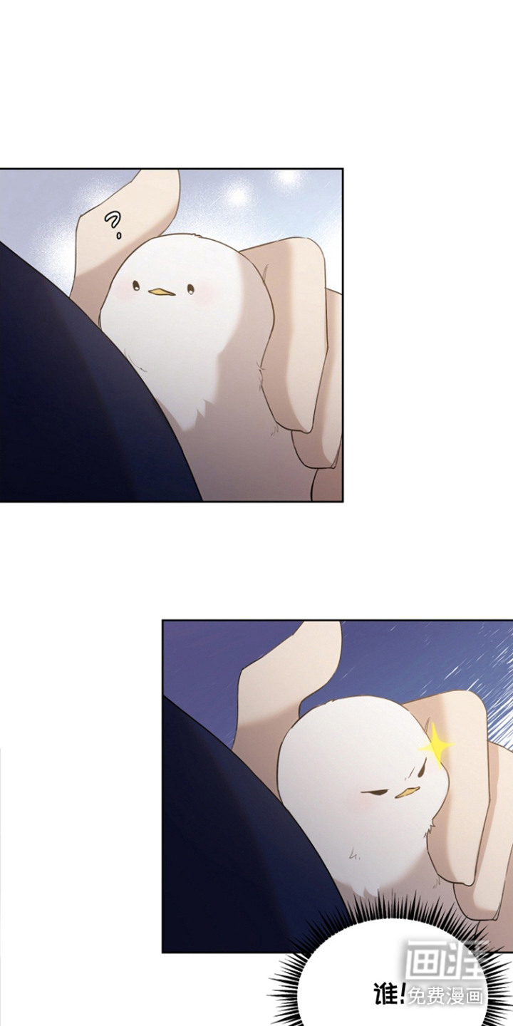 白鸟奇遇记第25话图