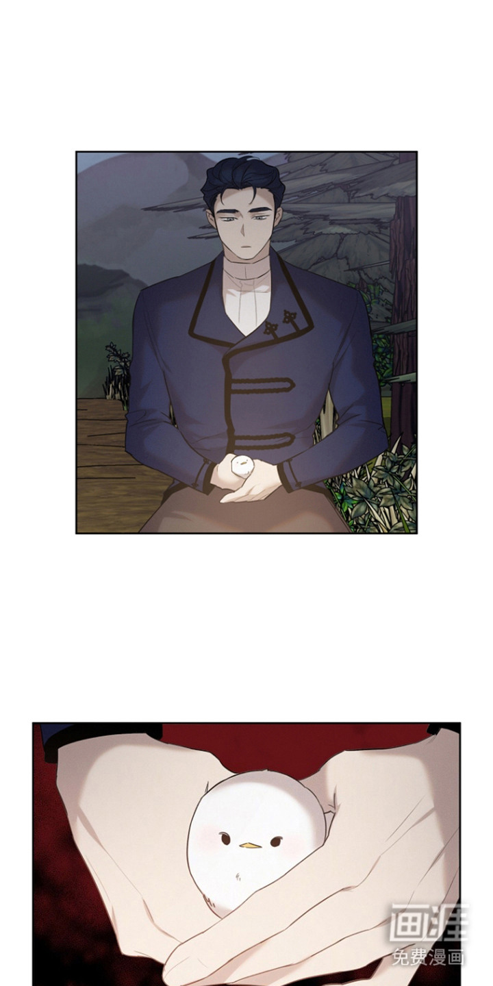 白鸟奇遇记第26话图