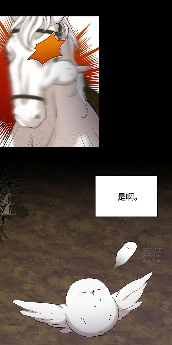 白鸟奇遇记第27话图