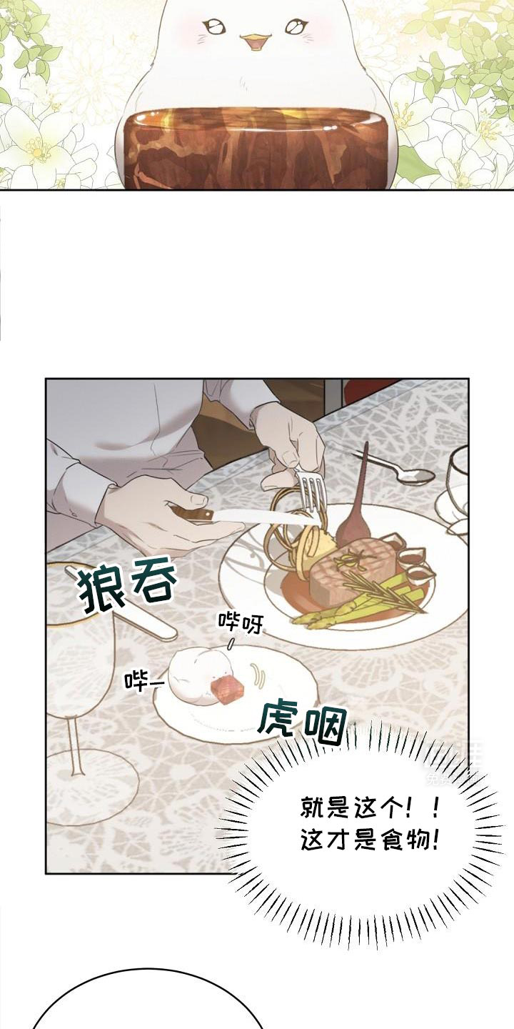 白鸟奇遇记第29话图