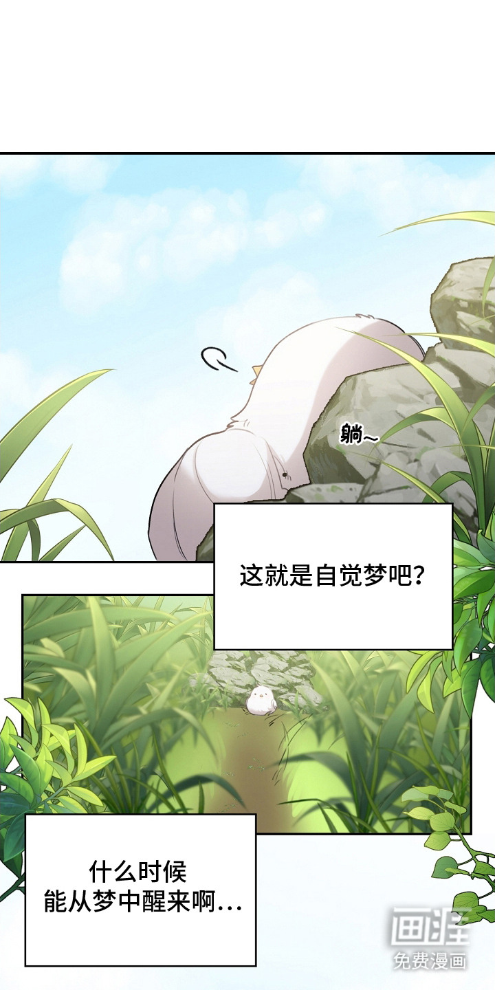 白鸟奇遇记第3话图