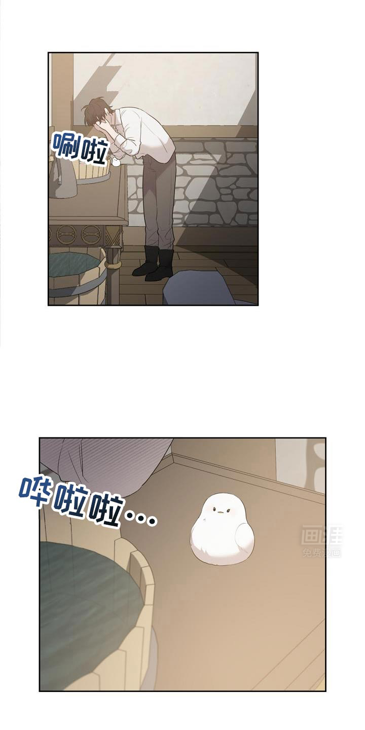 白鸟奇遇记第33话图